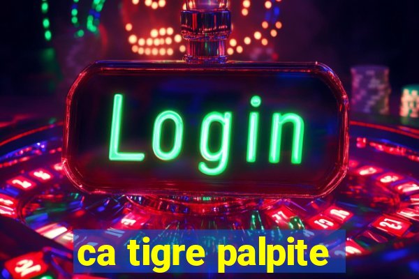 ca tigre palpite